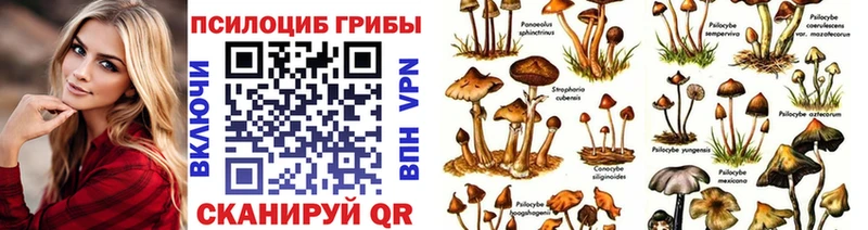 где купить наркоту  ссылка на мегу зеркало  Галлюциногенные грибы ЛСД  Алагир 